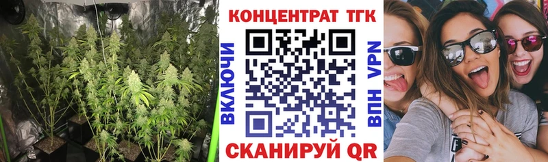 Дистиллят ТГК жижа  Купить  Циолковский 